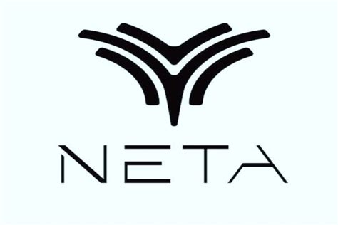 neta china.